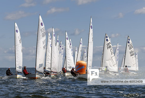 Segel-Regatta auf der Kieler Woche 2008 Kieler Förde Schleswig-Holstein Deutschland