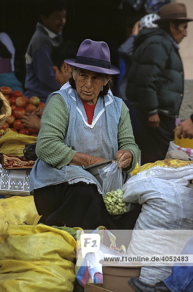 Alte Indigena-Marktfrau  Cuenca  Ecuador  Südamerika
