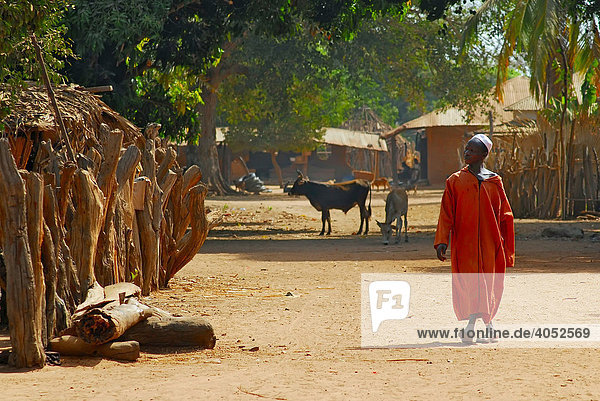 Man on the village street of Tumani Tenda  ecotourism village  Gambia  Africa
