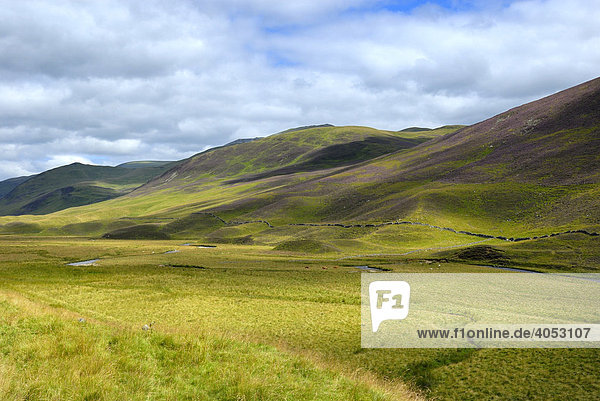 Graslandschaft der Grampian Mountains  Schottland  Großbritannien  Europa