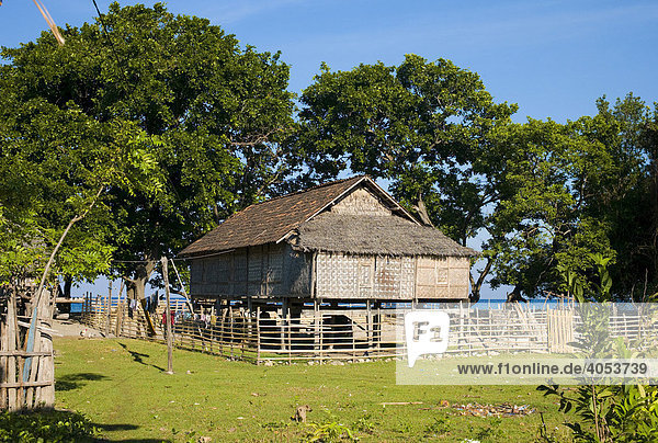 Haus in einem Fischerdorf  Kleine Sunda Inseln  Indonesien  Südostasien