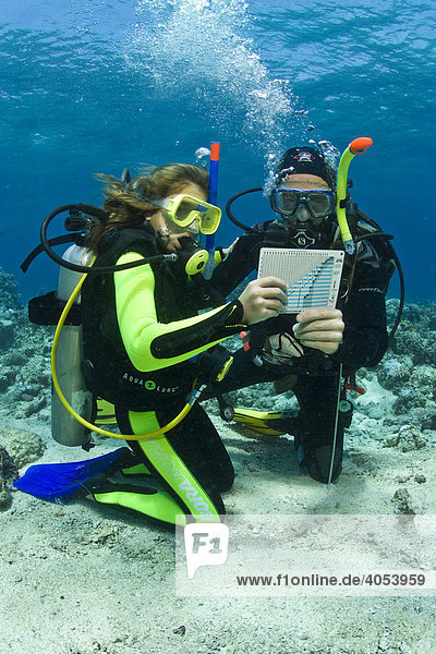 Scuba diving teacher with a child doing the diver's quaification in the sea  holding the decompression table  Indonesia  Southeast Asia