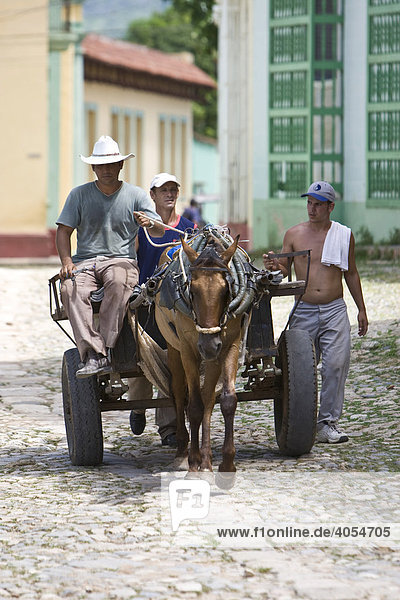 Street with a horse and carriage  Trinidad  Sancti Spíritus province  Cuba  Latin America  America