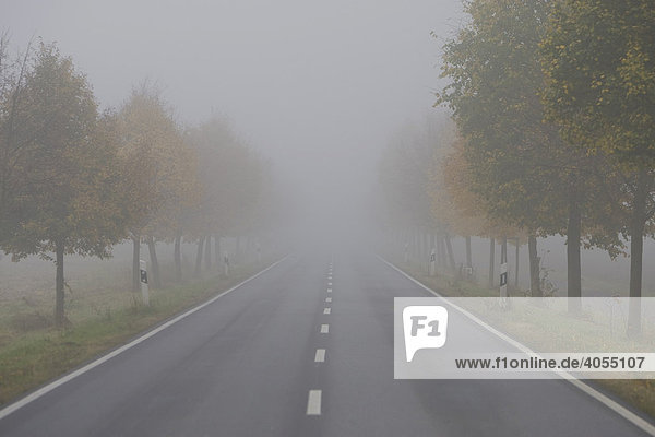 Landstraße in dichtem Nebel  Hessen  Deutschland  Europa