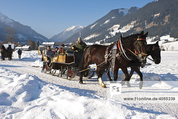 Horses pulling a sleigh between the towns of Ehrwald and Lermoos  Tyrol  Austria  Europe