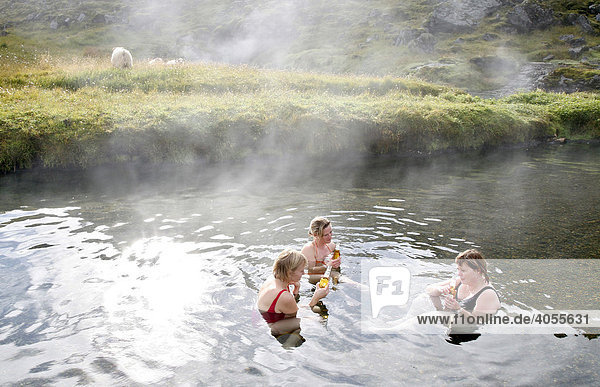 Drei Isländerinnen mit Bier in der warmen Quelle  hot pool  von Landmannalaugar  Island  Europa
