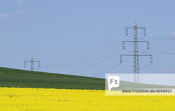 Rapsfeld in Blüte mit Stromüberleitung