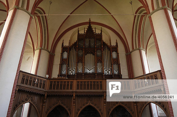 Orgel im Bardowicker Dom  Bardowick  Niedersachsen  Deutschland  Europa