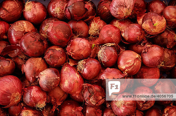 Onions (Allium cepa) for sale at the market in Nuremberg  Bavaria  Germany  Europe
