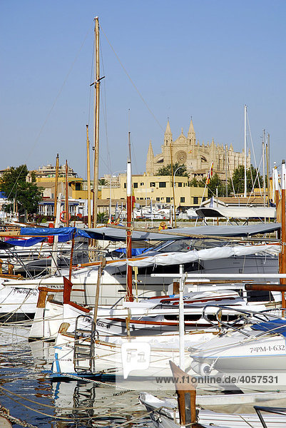 Weiße Fischerboote und Segelboote im Hafen an der Passeig Maritim  Port de Palma  dahinter die Kathedrale La Seu  Palma de Mallorca  Mallorca  Balearen  Mittelmeer  Spanien  Europa