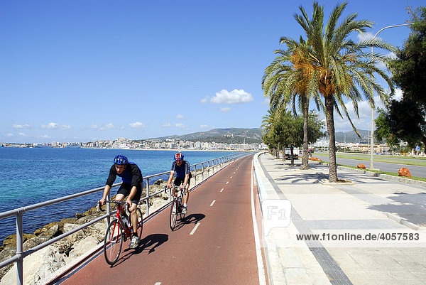 Fahrradweg mit Palmen und Meeresblick entlang der Autopista de Levante  Palma de Mallorca  Mallorca  Balearen  Mittelmeer  Spanien  Europa