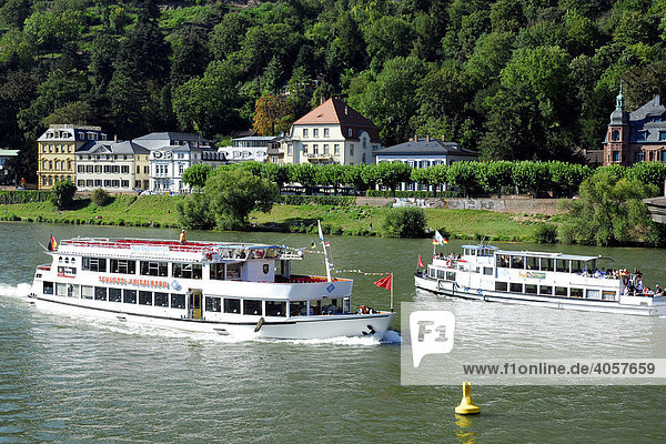 Weiße Ausflugsschiffe auf dem Neckar  dahinter Villen am Flussufer  Heidelberg  Neckartal  Baden-Württemberg  Deutschland  Europa