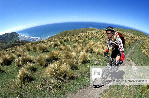 Mountainbiker  Ostküste  Südinsel  Neuseeland