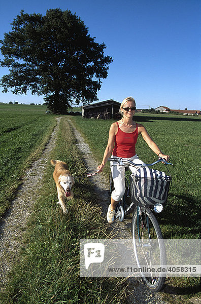 Woman on a bicycle with a dog  Starnberg  Bavaria  Germany  Europe