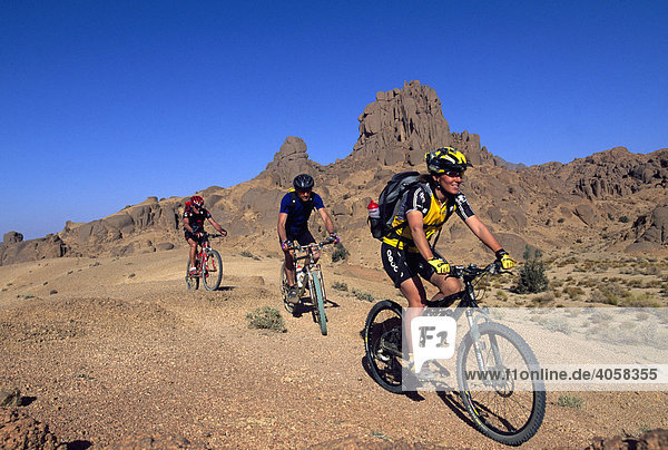 Mountainbikers riding along a camel track  Ahaggar National Park  Ahaggar Mountains  Algeria  Africa