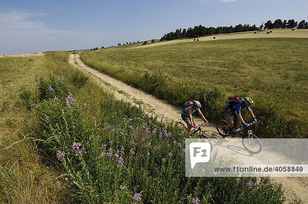 Mountainbikers near Medille  Ardèche  Rhones-Alpes  France  Europe