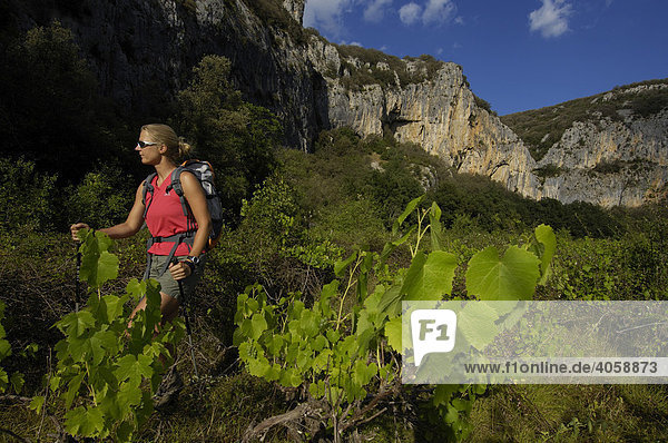 Hiking in the canyon  Vallon Pont d'Arc  Ardeche  Rhone Alps  France  Europe