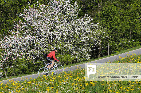 Rennradfahrer  Racebiker  Samerberg  Chiemgau  Bayern  Deutschland  Europa