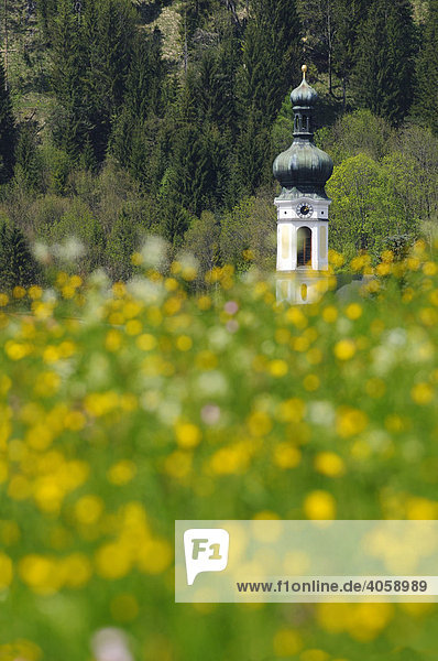 Kirchturm von Kössen  Tirol  Österreich  Europa