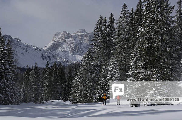 Snowshoe hikers hiking to Alpe Nemes Mountain  High Puster Valley or Alto Pusteria  Bolzano-Bozen  Dolomite Alps  Italy  Europe