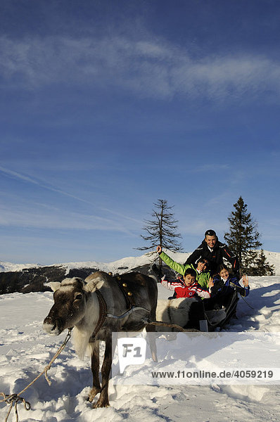 Family in a reindeer sleigh  Hochpustertal Valley  Dolomite Alps  Bolzano-Bozen  Italy  Europe