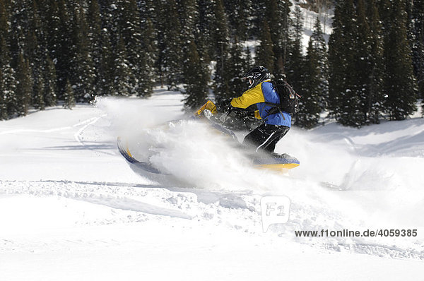 Snowmobile-action at Dunton Hot Springs  Colorado  USA