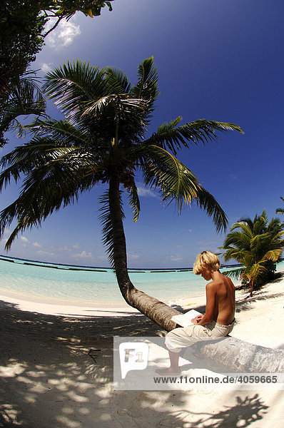 Junge liest auf Palme  Kurumba Resort  Malediven  Indischer Ozean