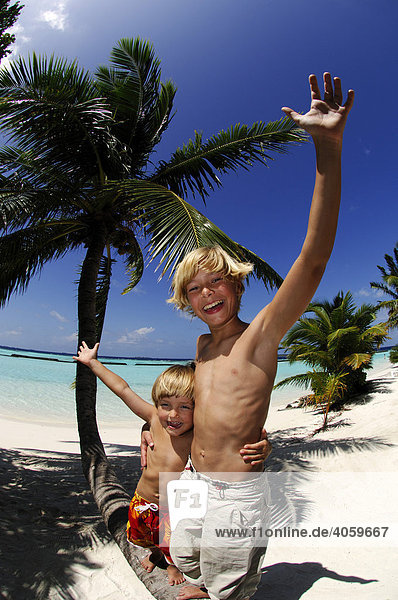 Kinder auf einer Palme  Kurumba Resort  Malediven  Indischer Ozean