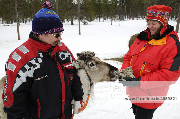Zwei Sami  Lappen mit Rentier  Ivalo  Lappland  Finnland  Europa