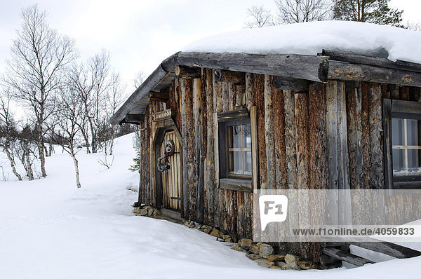 Wildnis-Hütte im Saariselkä Skigebiet  Ivalo  Lappland  Finnland  Europa