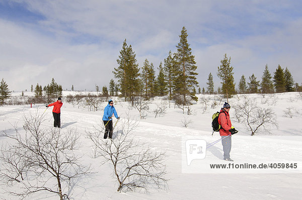 Nordic ski  cross-country skiers in Urho Kekkonen Nationalpark  Kiilopaeae  Ivalo  Lapland  Finland  Europe