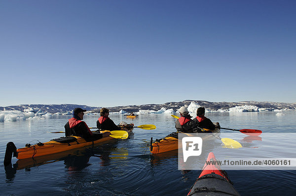 Kayakers in Stoklund Fjord  East Greenland  Greenland
