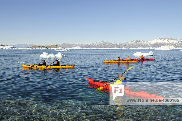 Kayakers in Stoklund Fjord  East Greenland  Greenland