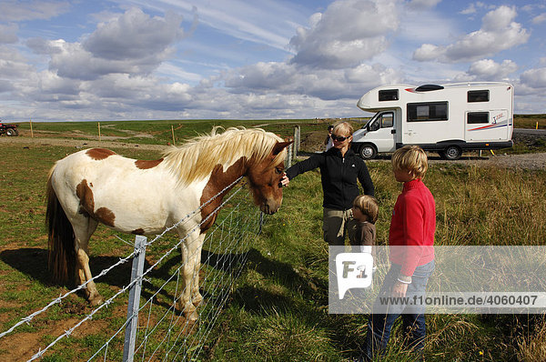 Frau und zwei Kinder mit Islandpferd  hinten Wohnmobil  in Laugarvatn  Island  Europa