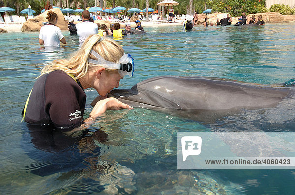 Woman kissing a dolphin  Discovery Cove  adventure park  Orlando  Florida  USA  North America