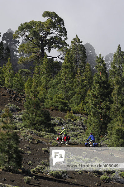 Mountainbikers at Montana des las Cuevitas  Tenerife  Canary Islands  Spain  Europe