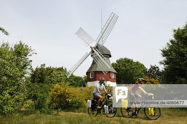 Windmühle  davor Radfahrer  Insel Amrum  Nordfriesland  Schleswig-Holstein  Deutschland  Europa