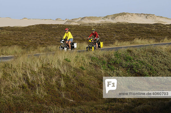 Cyclists on the Ostellenbogen  Sylt  North Frisia  North Sea  Schleswig-Holstein  Germany  Europe