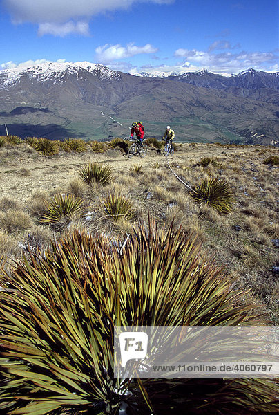 Mountainbiker  Mount Pisa  Southern Alps  South Island  New Zealand
