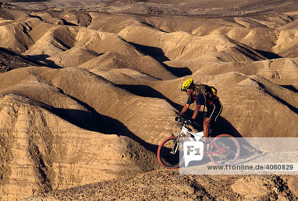 Mountain biker  desert  Sinai  Egypt  Africa