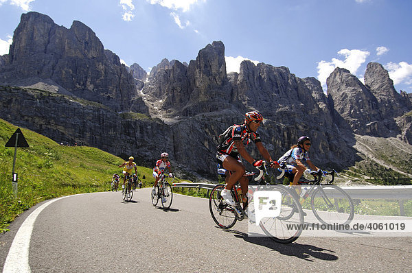 Racing cyclists on Passo Gardena mountain pass  Sella Ronda Bikeday  Val Gardena  Alto Adige  Dolomites  Italy  Europe
