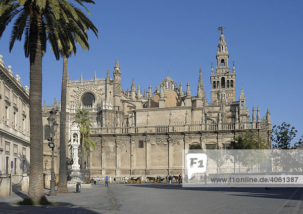 Kathedrale  Catedral de Santa Maria de la Sede mit Giralda  Sevilla  Andalusien  Spanien  Europa