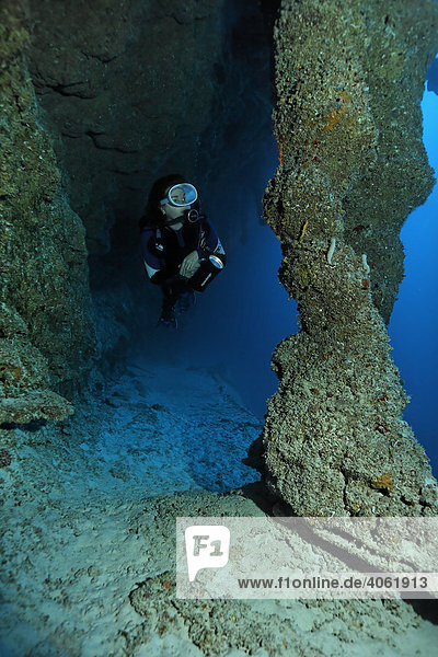 Taucherin mit Lampe betrachtet in 45 Meter Tiefe zusammengewachsene Stalaktite und Stalakmite im nationalen Naturdenkmal Blue Hole  Turneffe Atoll  Belize  Zentralamerika  Karibik