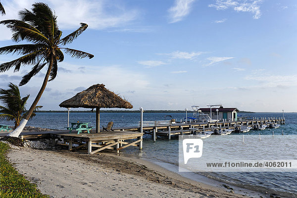 Bootssteg  Turneffe Flats  Turneffe Atoll  Belize  Zentralamerika  Karibik