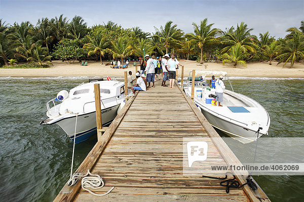 Wharf with diving boats and scuba divers in front of a beach with palm trees  Hamanasi Hotel  Hopkins  Dangria  Belize  Central America  Caribbean