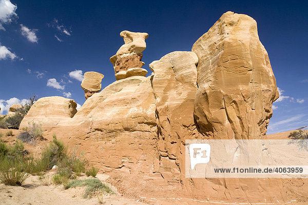 Sandsteinformationen im Devils Garden  Grand Staircase Escalante National Monument  Utah  USA  Nordamerika
