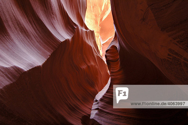 Slot Canyon des Lower Antelope Canyon  Navajo Tribal Park  Page  Arizona  USA  Nordamerika