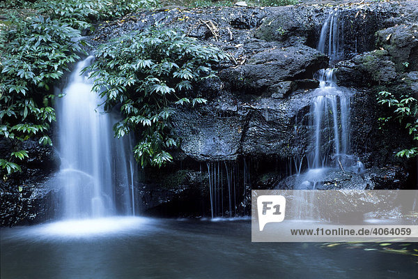 Elebana Wasserfall  Lamington Nationalpark  Queensland  Australien