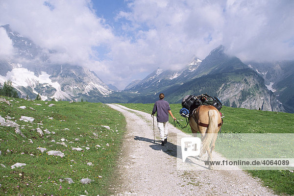 Trekking with Haflinger through the Karwendel Mountains  nature photographer at work  North Tyrol  Austria  Europe
