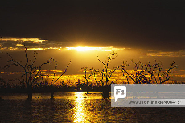 Sonnenuntergang am Lake Pamamaroo  New South Wales  Australien